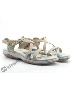 Chancla / Taupe Skechers 40955