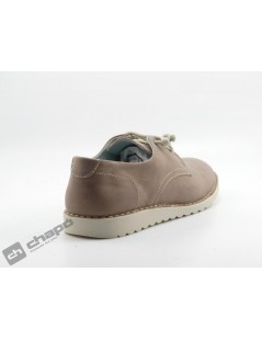 Sneakers Taupe Pascualon 4633
