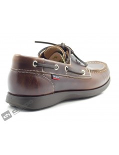 Zapatos Marron Callaghan 43800