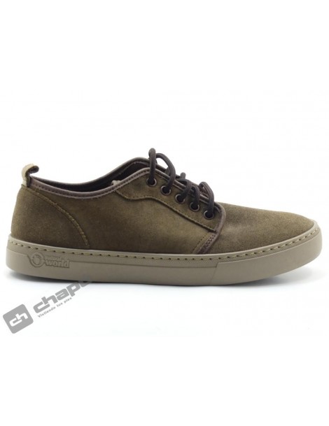 Sneakers Marron Natural World 6761