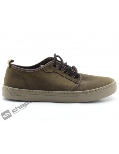 Sneakers Marron Natural World 6761