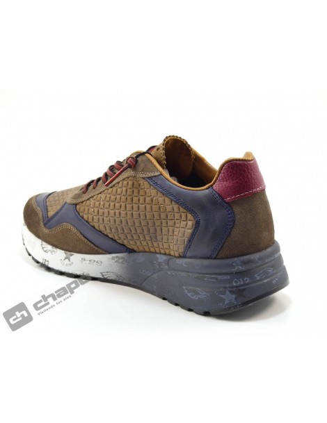 Sneakers Taupe Cetti C-848 Xl