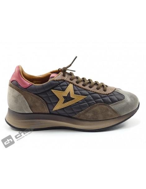Sneakers Marron Cetti C-1259