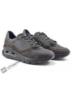 Sneakers Taupe Callaghan 45800