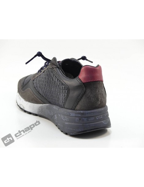 Sneakers Marron Cetti C-848 Xl