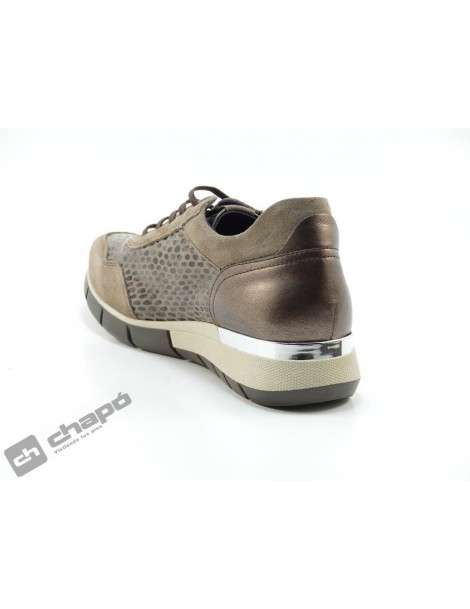Sneakers Taupe Dorking D8678