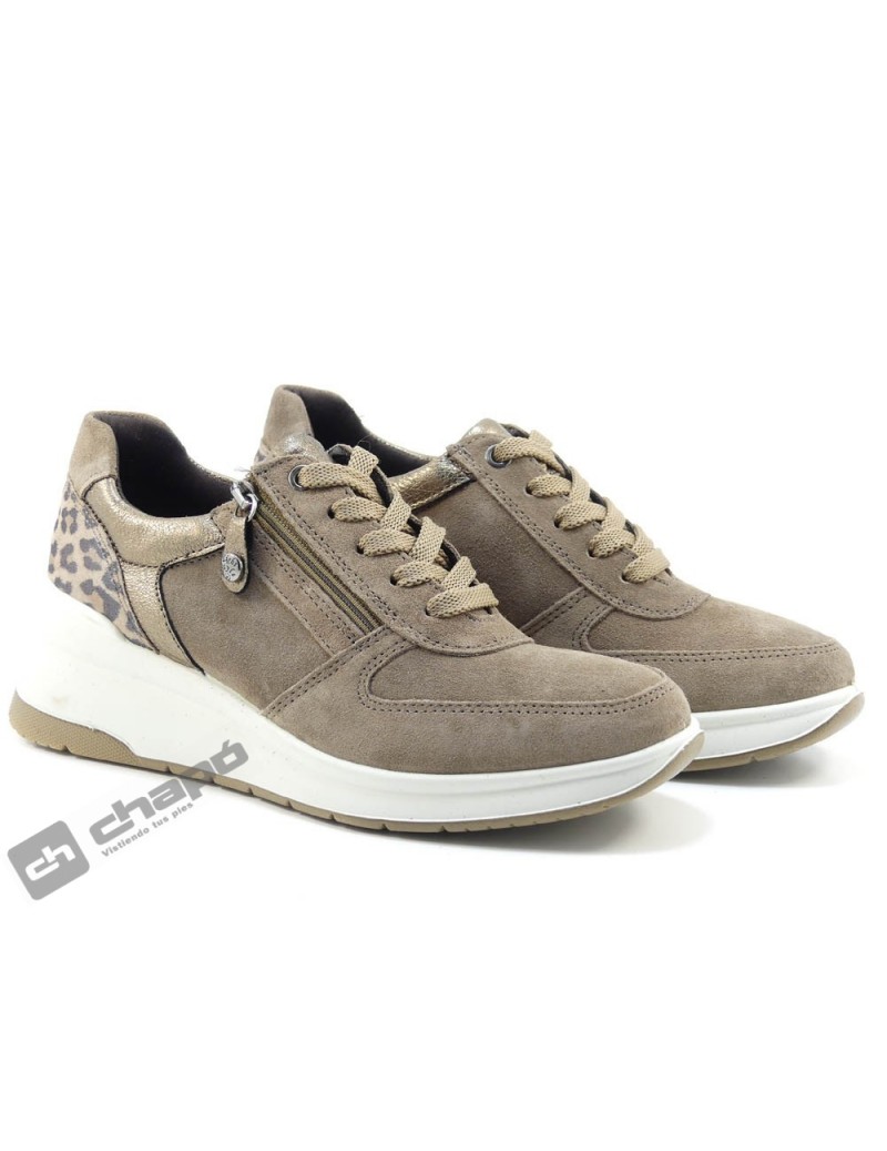 Sneakers Taupe Imac 808040