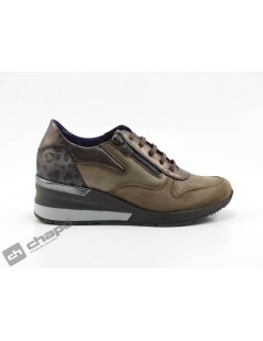 Sneakers Taupe Dorking D8589