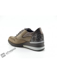 Sneakers Taupe Dorking D8589