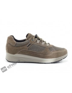 Sneakers Taupe Imac 806968