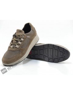 Sneakers Taupe Imac 806968