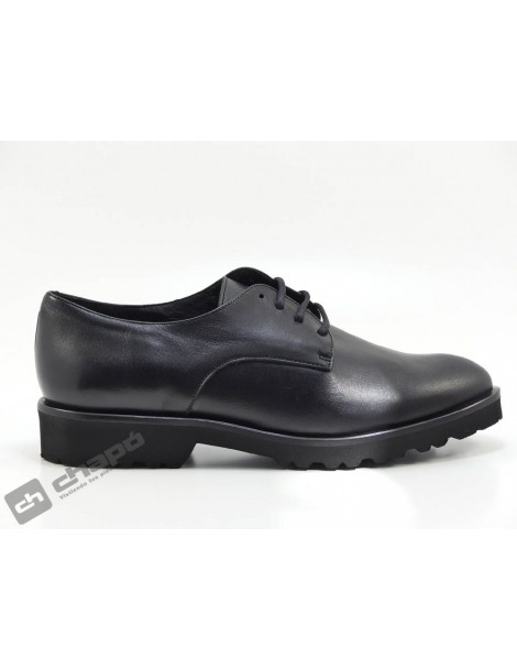 Zapatos Negro Frank 3391