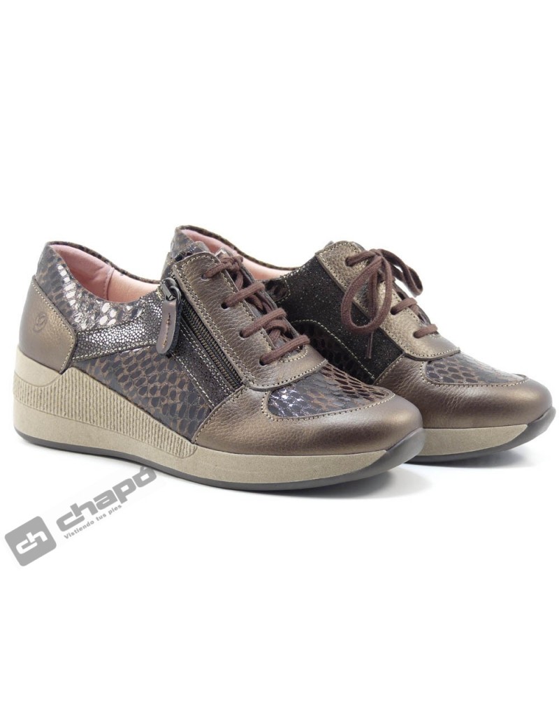 Sneakers Bronce Suave 3701