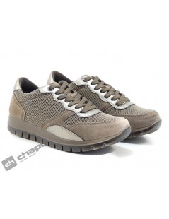 Sneakers Taupe Imac 807698