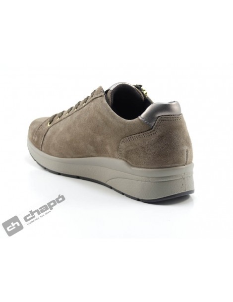 Sneakers Taupe Imac 806920