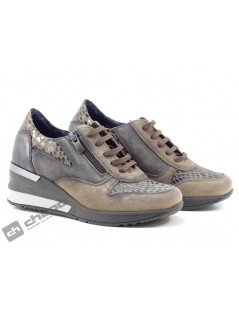 Sneakers Taupe Dorking D8590