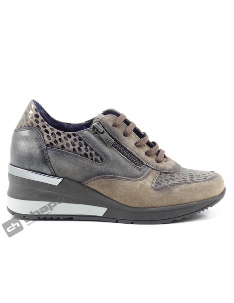 Sneakers Taupe Dorking D8590