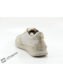 Sneakers Hielo Baerchi 55151
