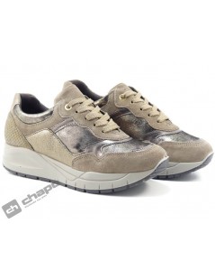 Sneakers Taupe Imac 807951