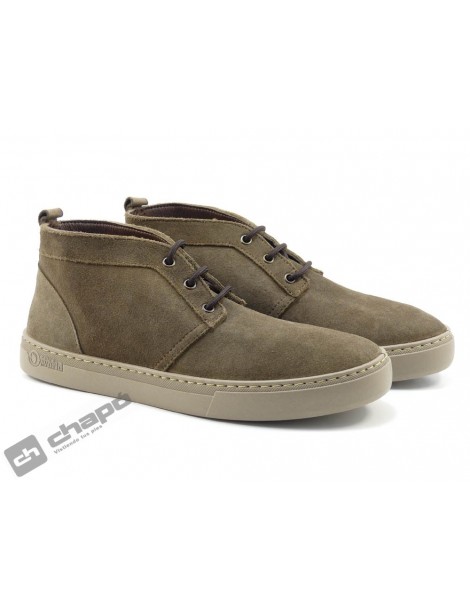 Sneakers Marron Natural World 6762