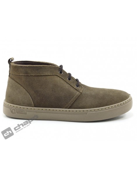 Sneakers Marron Natural World 6762