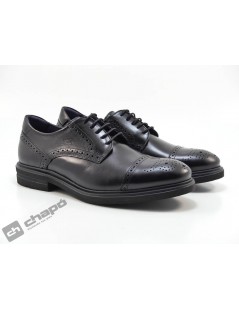 Zapatos Negro Fluchos F0629