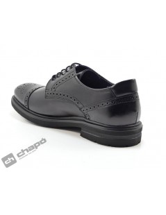 Zapatos Negro Fluchos F0629