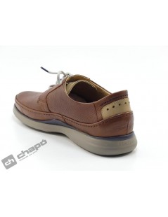 Zapatos Cuero Fluchos F0460