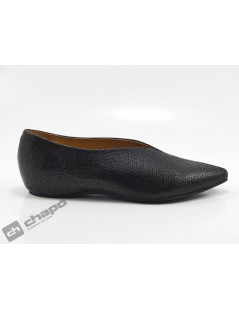 Zapatos Negro Frank 5900-liza