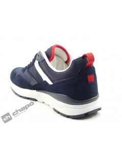 Sneakers Marino Levi´s 234233