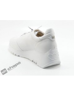 Zapatos Blanco Wonders E-6704