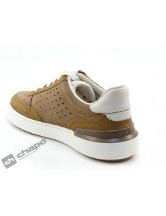 Zapatos Taupe Clarks 26165627