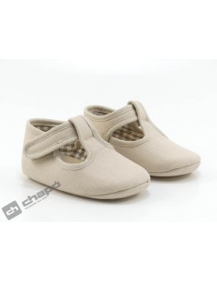 Zapatos Camel Batilas B2601