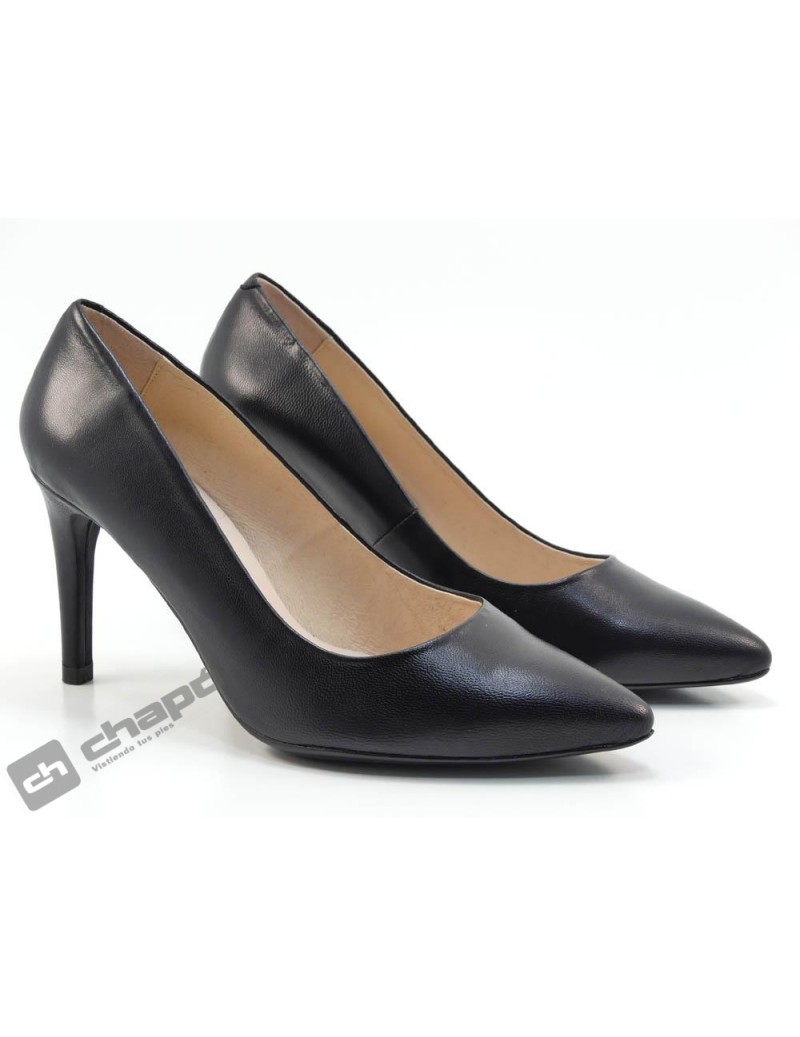 Zapatos Negro Frank 2811