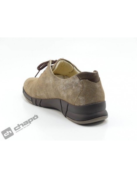 Sneakers Taupe Suave 3204cc
