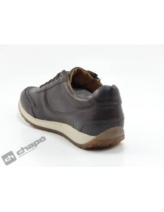 Sneakers Marron Kangaroos 294-18/302-14
