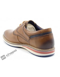 Zapatos Cuero Pikolinos M1t-4050