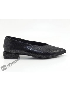 Zapatos Negro Frank 32666