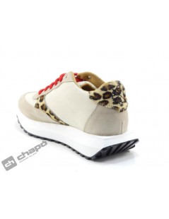 Sneakers Taupe Popa Ines Animal