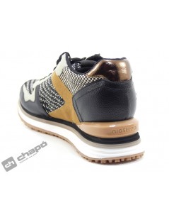 Sneakers Marron Gioseppo 67387-sonlez