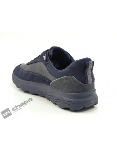 Sneakers Marino Geox U16bye 08522