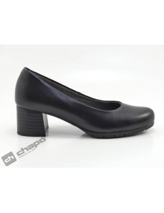 Zapatos Negro Pitillos 101-1771-1410-6342