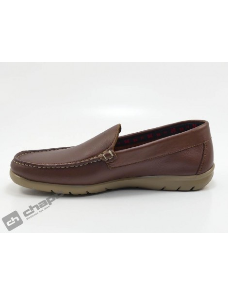 Zapatos Marron Callaghan 18001