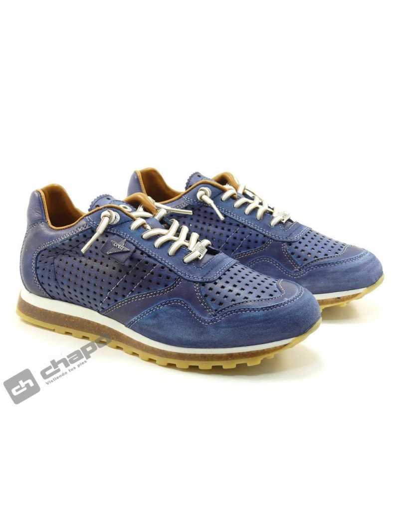 Sneakers Azul Cetti C-848