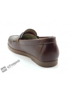Zapatos Marron Callaghan 51602