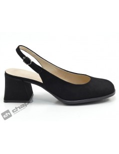 Zapatos Negro Wonders H-5703