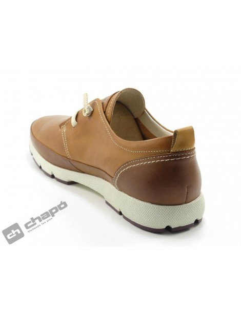 M4A 4266C1 FUENCARRAL