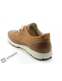 M4A 4266C1 FUENCARRAL