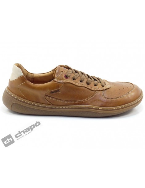 UPF 6363 C1 ARANJUEZ