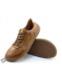 UPF 6363 C1 ARANJUEZ